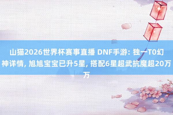 山猫2026世界杯赛事直播 DNF手游: 独一T0幻神详情, 旭旭宝宝已升5星, 搭配6星超武抗魔超20万