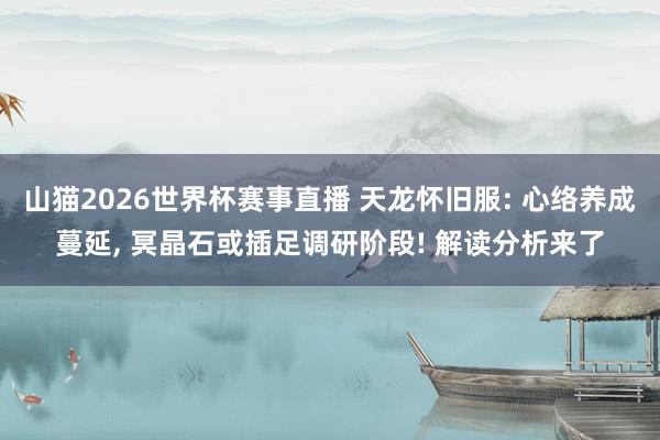 山猫2026世界杯赛事直播 天龙怀旧服: 心络养成蔓延, 冥晶石或插足调研阶段! 解读分析来了