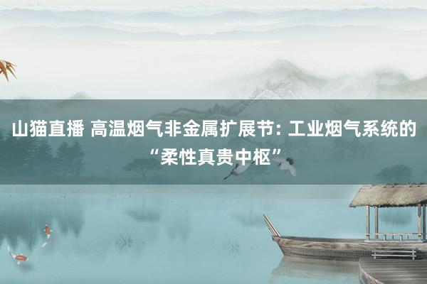 山猫直播 高温烟气非金属扩展节: 工业烟气系统的“柔性真贵中枢”