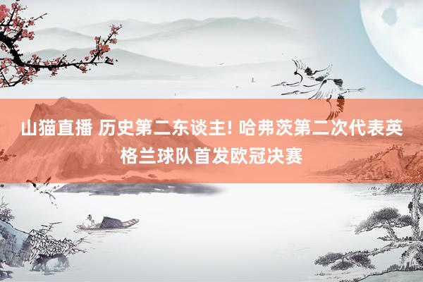 山猫直播 历史第二东谈主! 哈弗茨第二次代表英格兰球队首发欧冠决赛