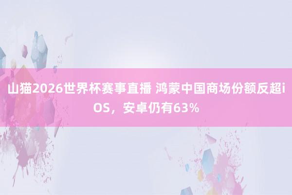 山猫2026世界杯赛事直播 鸿蒙中国商场份额反超iOS，安卓仍有63%