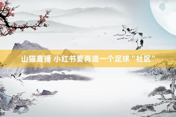 山猫直播 小红书要再造一个足球“社区”