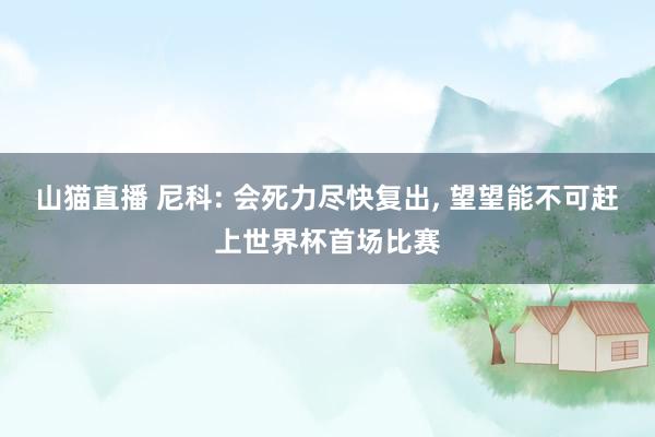 山猫直播 尼科: 会死力尽快复出, 望望能不可赶上世界杯首场比赛