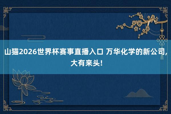 山猫2026世界杯赛事直播入口 万华化学的新公司, 大有来头!