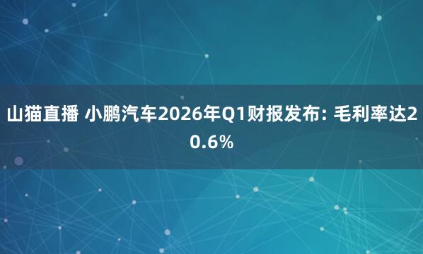 山猫直播 小鹏汽车2026年Q1财报发布: 毛利率达20.6%