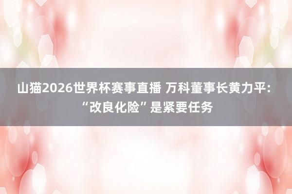 山猫2026世界杯赛事直播 万科董事长黄力平: “改良化险”是紧要任务