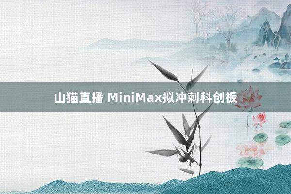 山猫直播 MiniMax拟冲刺科创板