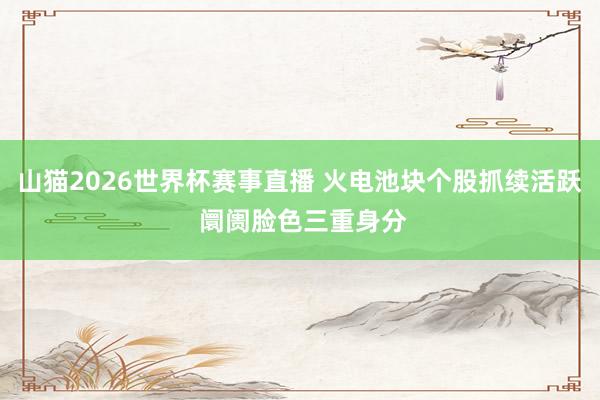 山猫2026世界杯赛事直播 火电池块个股抓续活跃 阛阓脸色三重身分