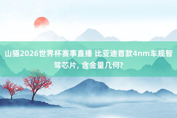 山猫2026世界杯赛事直播 比亚迪首款4nm车规智驾芯片, 含金量几何?