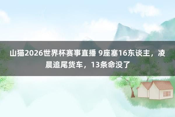 山猫2026世界杯赛事直播 9座塞16东谈主，凌晨追尾货车，13条命没了