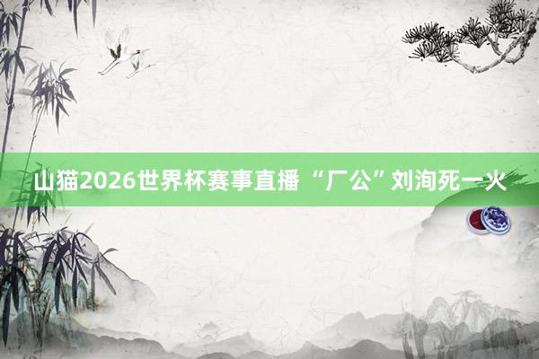 山猫2026世界杯赛事直播 “厂公”刘洵死一火