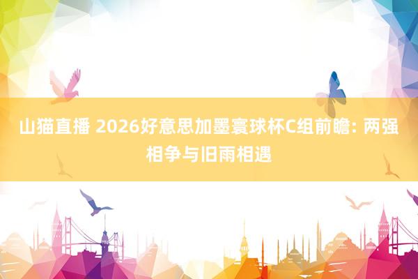山猫直播 2026好意思加墨寰球杯C组前瞻: 两强相争与旧雨相遇