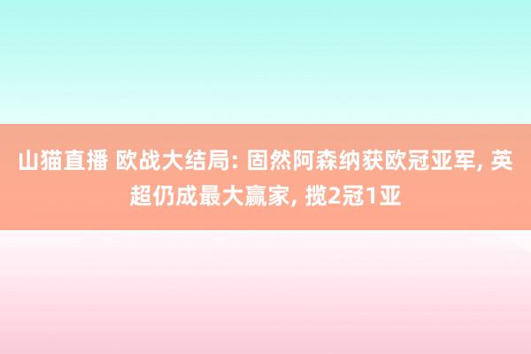 山猫直播 欧战大结局: 固然阿森纳获欧冠亚军, 英超仍成最大赢家, 揽2冠1亚