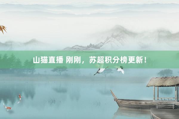 山猫直播 刚刚，苏超积分榜更新！