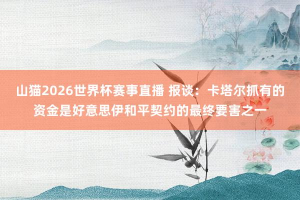 山猫2026世界杯赛事直播 报谈：卡塔尔抓有的资金是好意思伊和平契约的最终要害之一