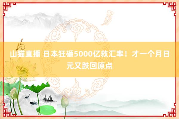 山猫直播 日本狂砸5000亿救汇率！才一个月日元又跌回原点