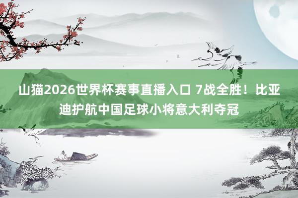 山猫2026世界杯赛事直播入口 7战全胜！比亚迪护航中国足球小将意大利夺冠
