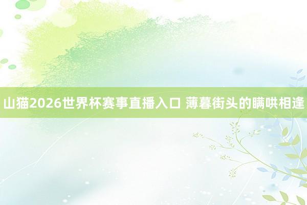 山猫2026世界杯赛事直播入口 薄暮街头的瞒哄相逢