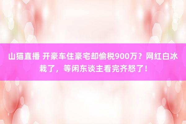 山猫直播 开豪车住豪宅却偷税900万？网红白冰栽了，等闲东谈主看完齐怒了！
