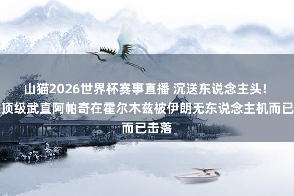 山猫2026世界杯赛事直播 沉送东说念主头! 西方顶级武直阿帕奇在霍尔木兹被伊朗无东说念主机而已击落