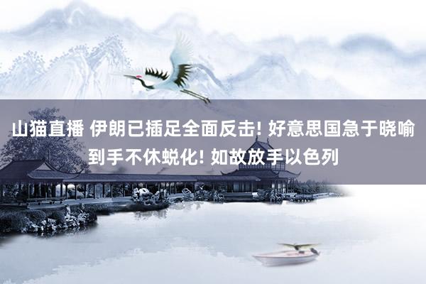 山猫直播 伊朗已插足全面反击! 好意思国急于晓喻到手不休蜕化! 如故放手以色列