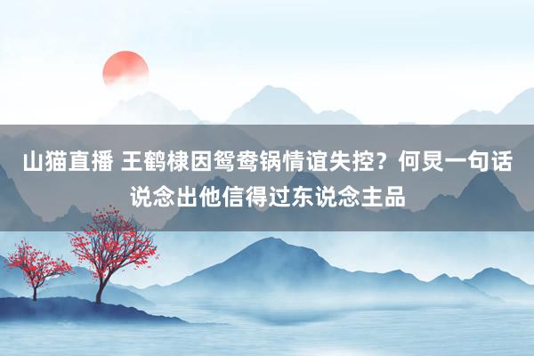 山猫直播 王鹤棣因鸳鸯锅情谊失控？何炅一句话说念出他信得过东说念主品