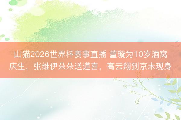 山猫2026世界杯赛事直播 董璇为10岁酒窝庆生，张维伊朵朵送道喜，高云翔到京未现身