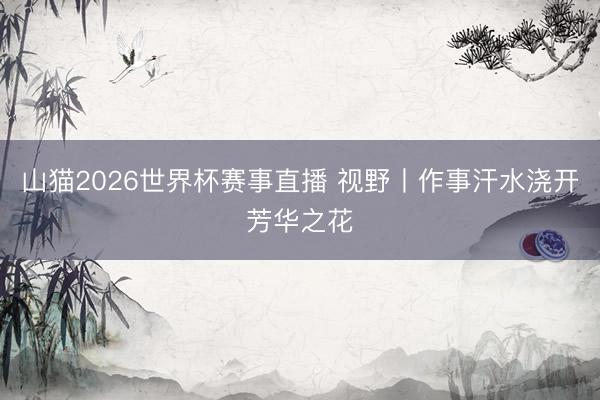 山猫2026世界杯赛事直播 视野丨作事汗水浇开芳华之花