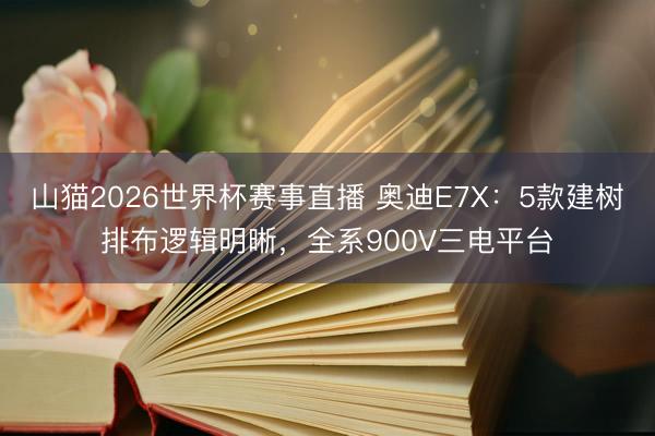 山猫2026世界杯赛事直播 奥迪E7X：5款建树排布逻辑明晰，全系900V三电平台