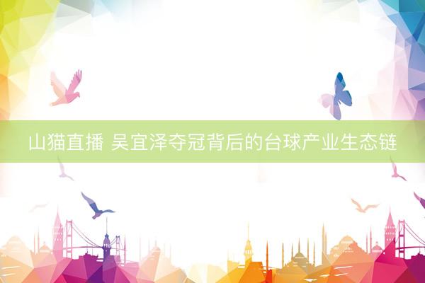 山猫直播 吴宜泽夺冠背后的台球产业生态链