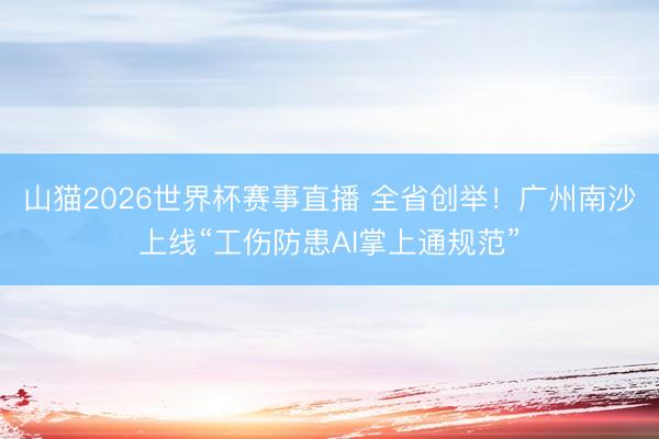 山猫2026世界杯赛事直播 全省创举！广州南沙上线“工伤防患AI掌上通规范”