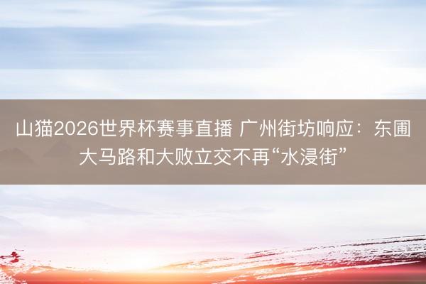 山猫2026世界杯赛事直播 广州街坊响应：东圃大马路和大败立交不再“水浸街”