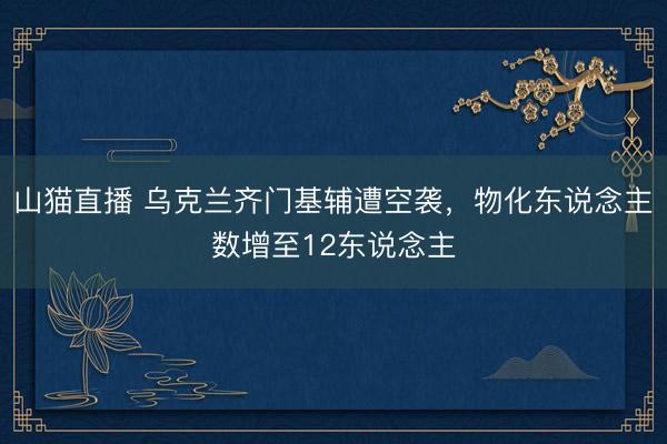 山猫直播 乌克兰齐门基辅遭空袭，物化东说念主数增至12东说念主