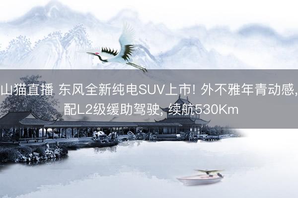 山猫直播 东风全新纯电SUV上市! 外不雅年青动感， 配L2级缓助驾驶， 续航530Km