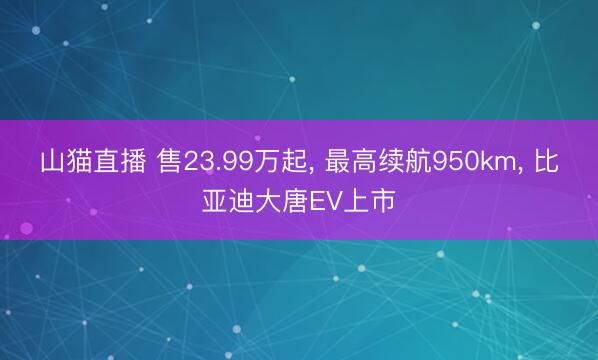 山猫直播 售23.99万起， 最高续航950km， 比亚迪大唐EV上市