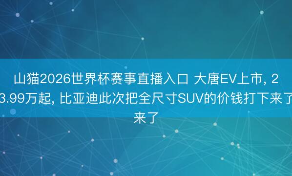 山猫2026世界杯赛事直播入口 大唐EV上市， 23.99万起， 比亚迪此次把全尺寸SUV的价钱打下来了