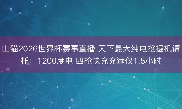 山猫2026世界杯赛事直播 天下最大纯电挖掘机请托:1200度电 四枪快充充满仅1.5小时