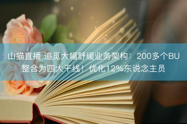 山猫直播 追觅大幅舒缓业务架构:200多个BU整合为四大干线!优化12%东说念主员
