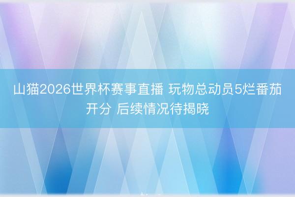 山猫2026世界杯赛事直播 玩物总动员5烂番茄开分 后续情况待揭晓